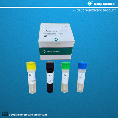 رواية فيروس كورونا COVID-19 اختبار الحمض النووي CE النوعي Rt Pcr الاختبار