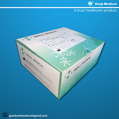 الصفحة الرئيسية Rapid COVID 19 Testing Kit EO التعقيم شهادة SGS ISO13485