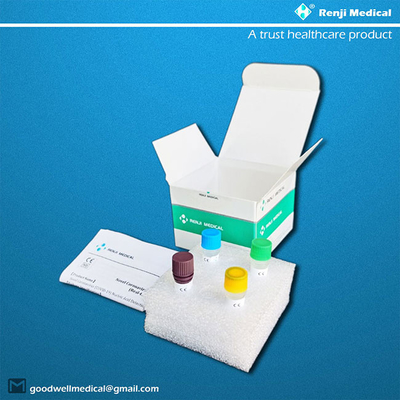 مجموعة اختبار الحمض النووي البلعومي ، ISO13485 Sars Cov 2 Pcr Test Kit