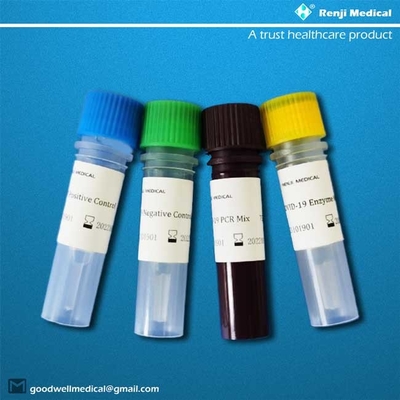 95٪ مجموعة اختبار الأحماض النووية الحساسة ، 40-90 دقيقة Rt Pcr Detection Kit