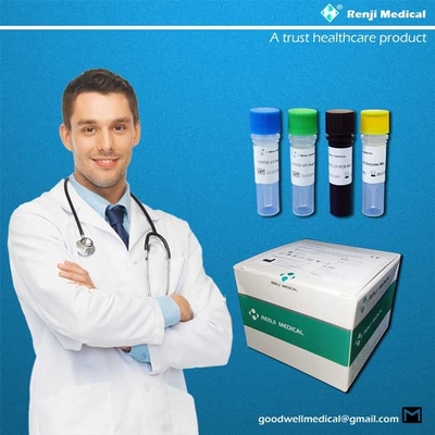 95٪ مجموعة اختبار الأحماض النووية الحساسة ، 40-90 دقيقة Rt Pcr Detection Kit